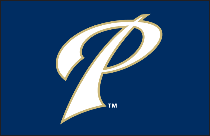 San Diego Padres 2007-2009 Batting Practice Logo fabric transfer